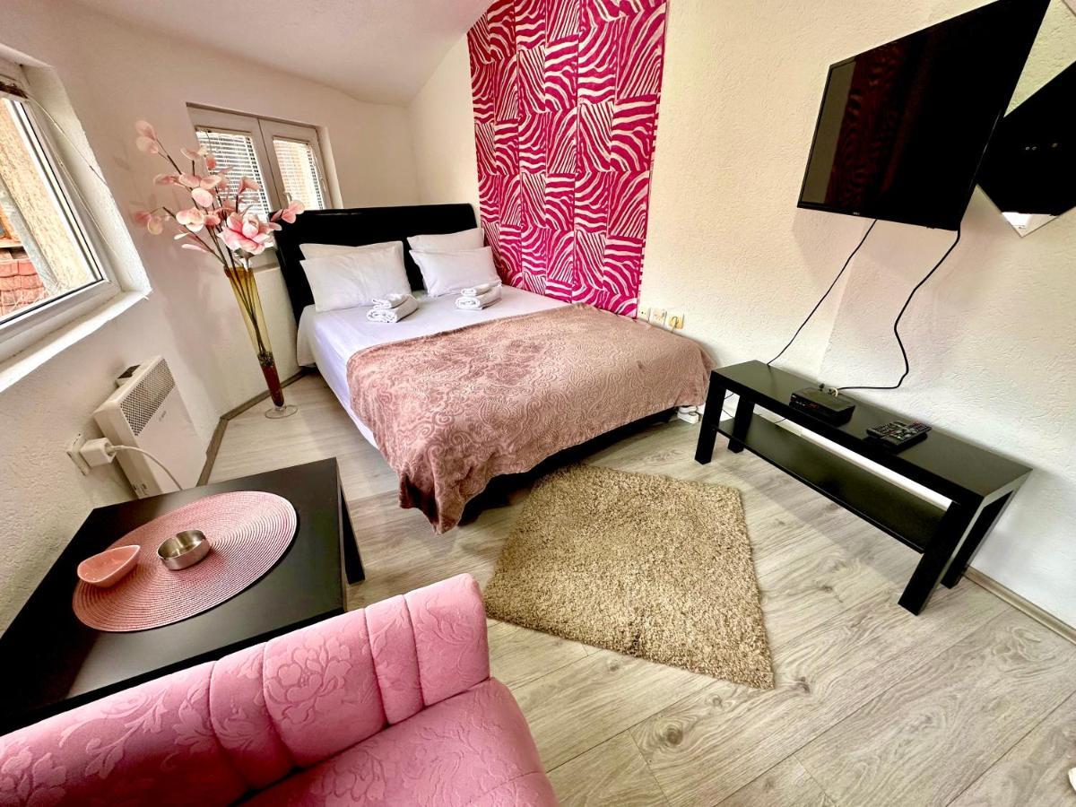 Apartmani Aleksandra U Centru Grada Крагуевац Экстерьер фото